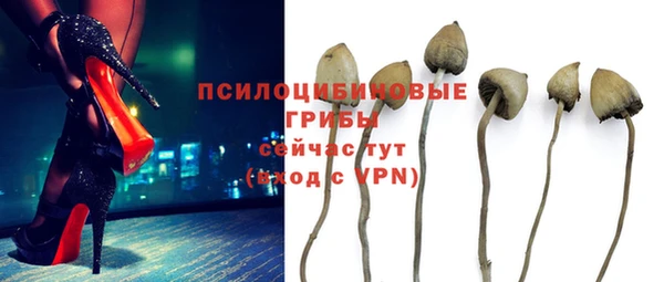 прущая мука Михайловск