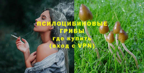 прущая мука Михайловск