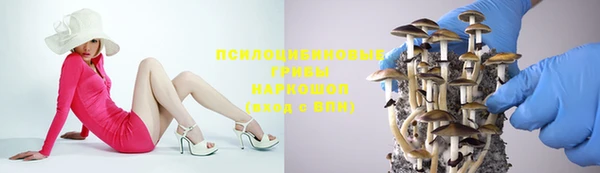 прущая мука Михайловск