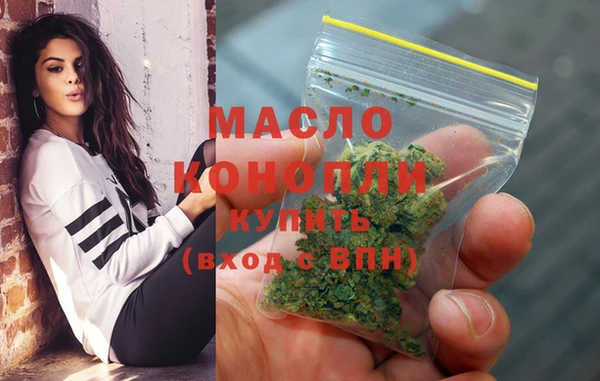 мдпв Михайлов