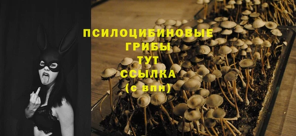 прущая мука Михайловск