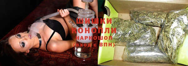 мдпв Михайлов