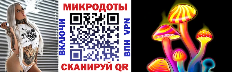 где купить Киселёвск Галлюциногенные грибы прущие грибы